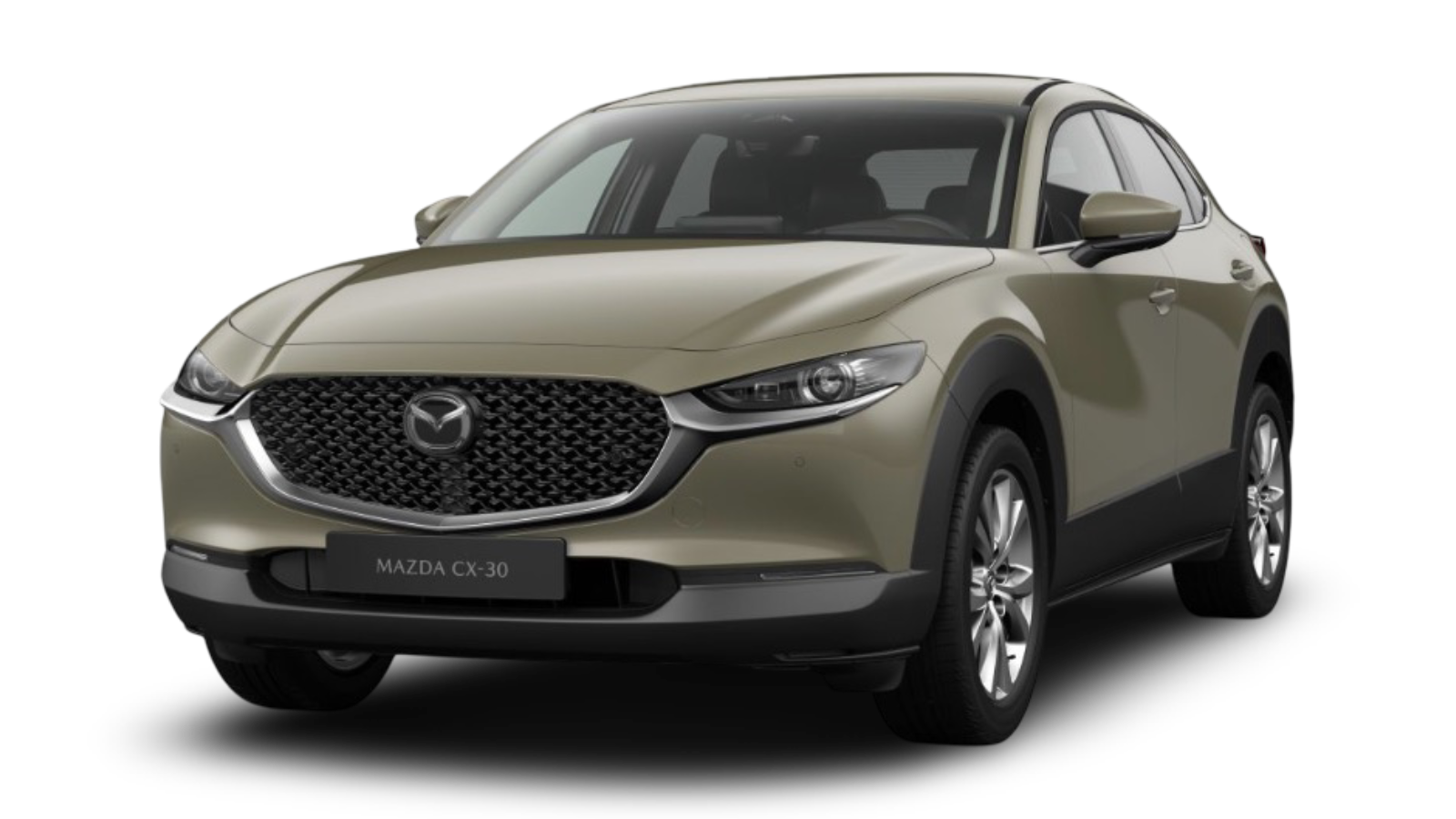 Marcador de posición