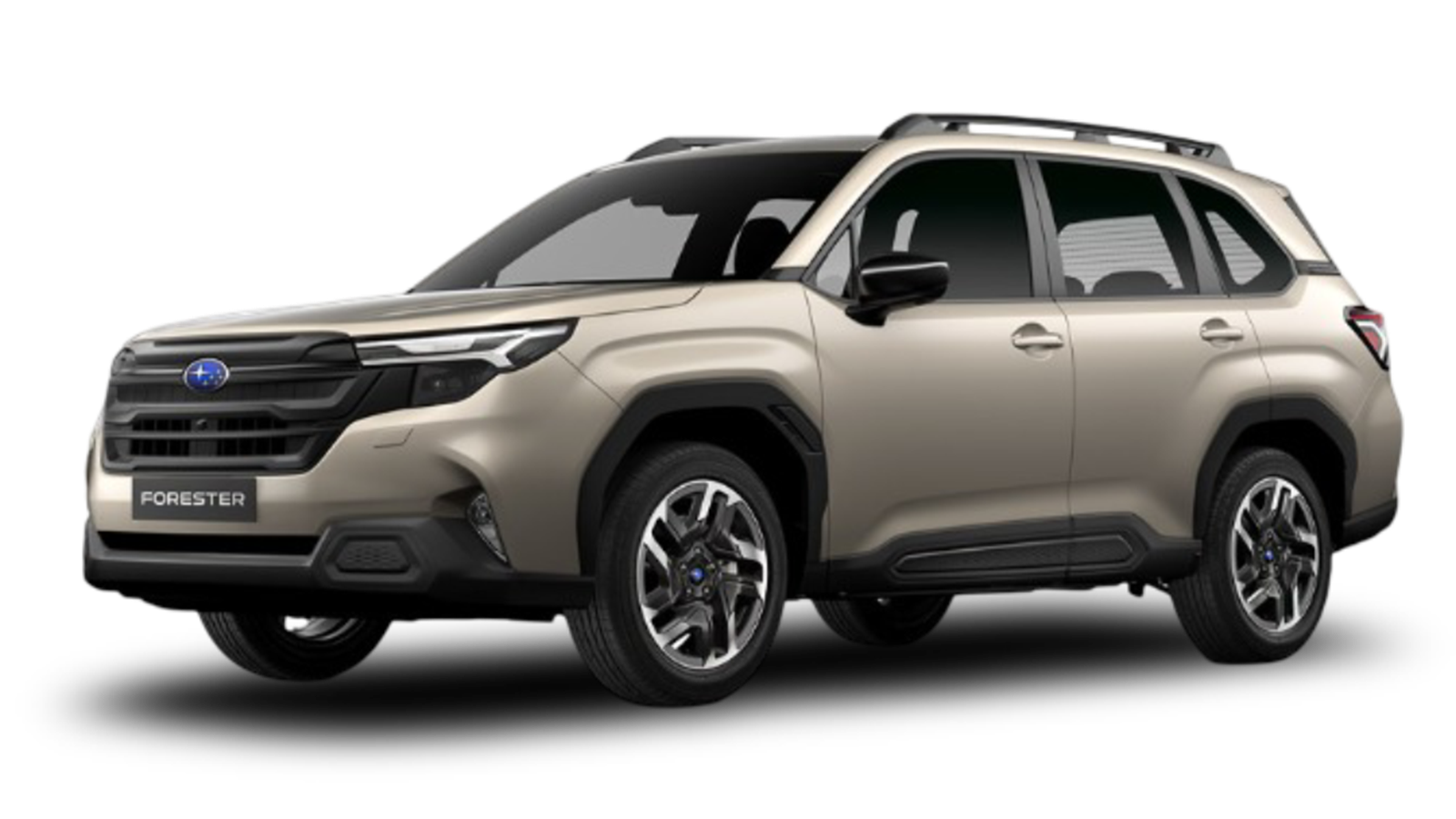 Marcador de posición