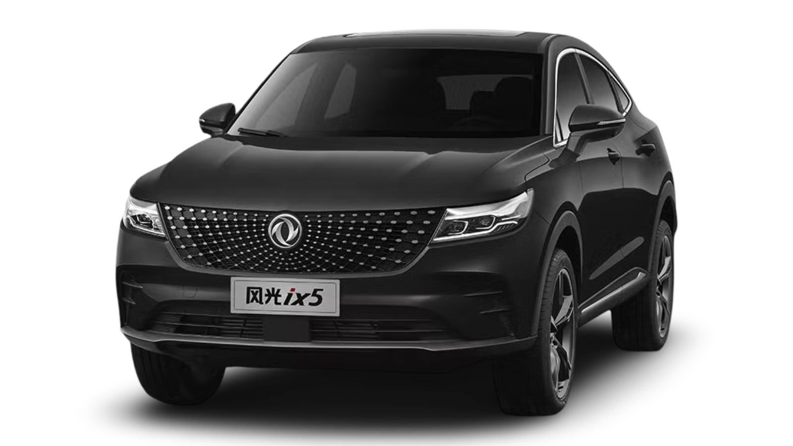 Marcador de posición