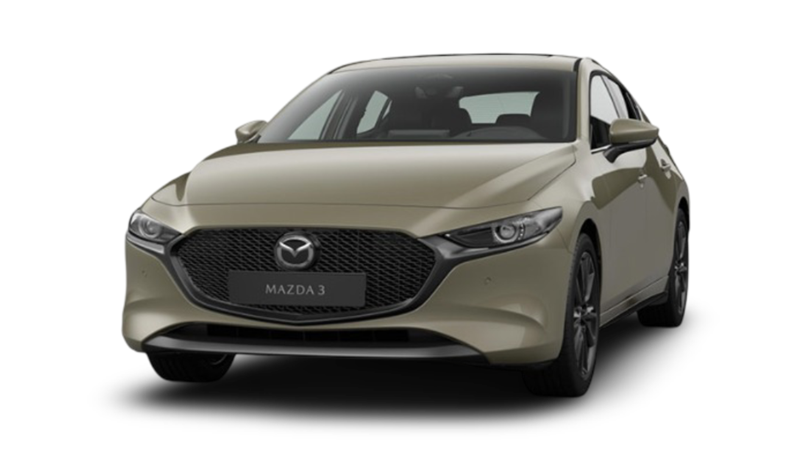 Marcador de posición