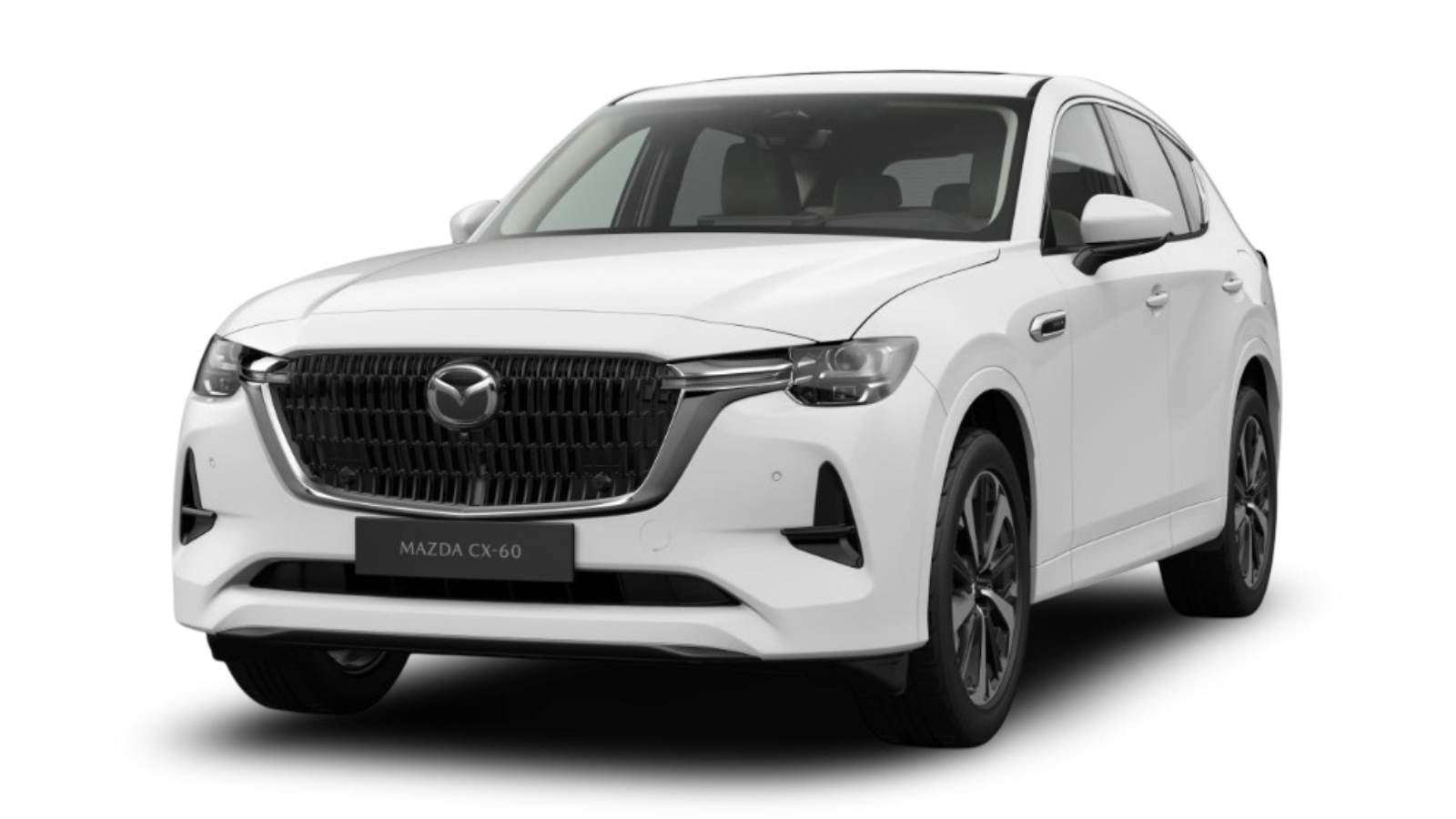 Marcador de posición