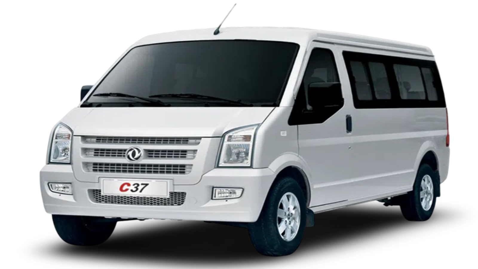 Marcador de posición