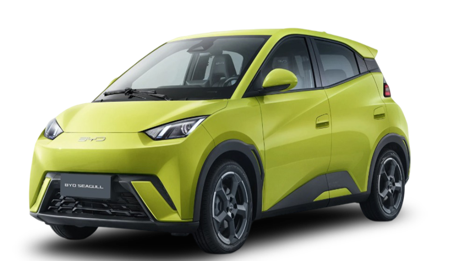 Marcador de posición