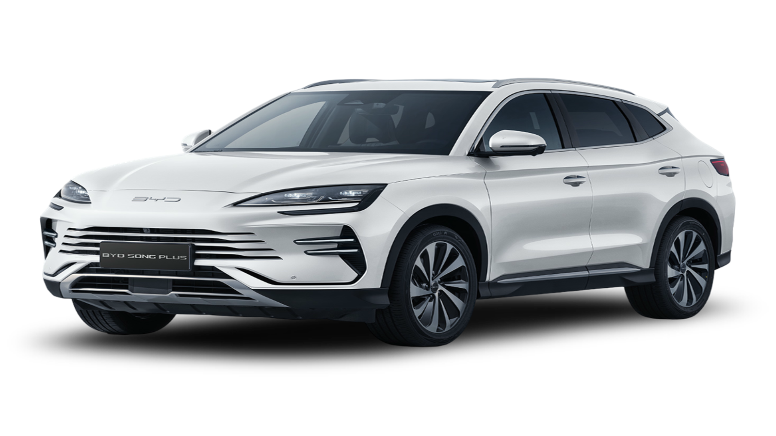 Marcador de posición